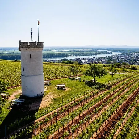 Western Wein- Und Parkhotel Szálloda Nierstein