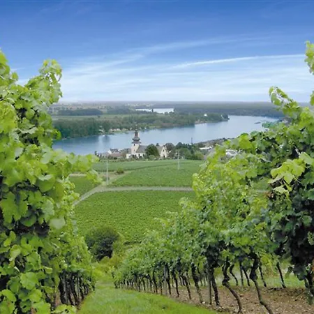 Western Wein- Und Parkhotel Nierstein