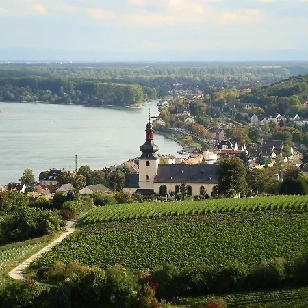 Отель Western Wein- Und Parkhotel Нирштайн