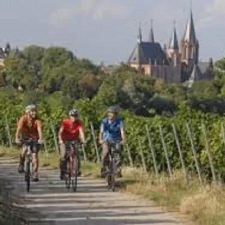 Western Wein- Und Parkhotel ホテル