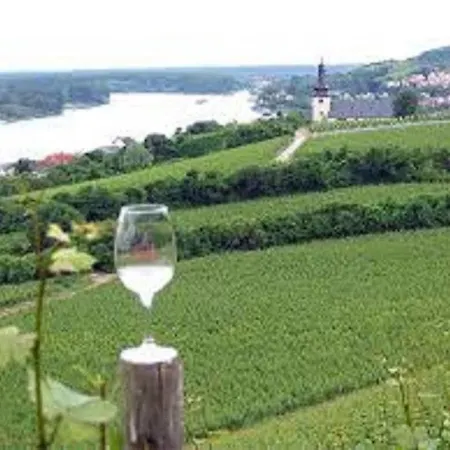 Hotel Western Wein- Und Parkhotel