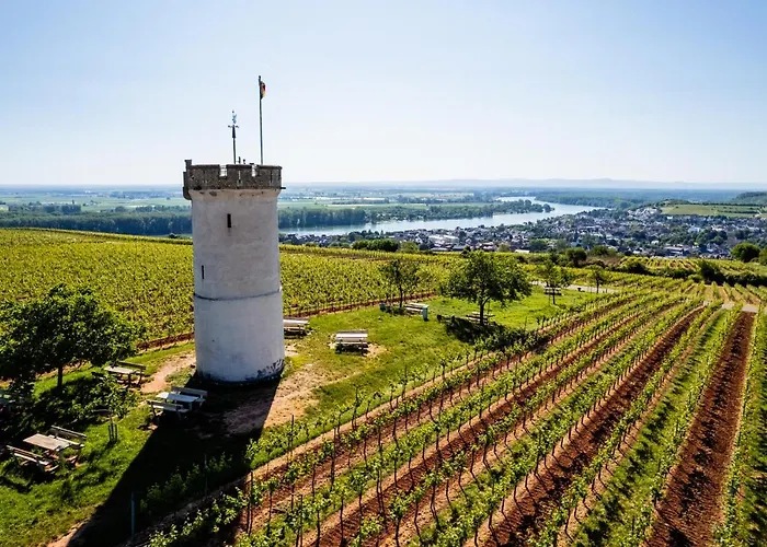 Western Wein- Und Parkhotel Hotell Nierstein